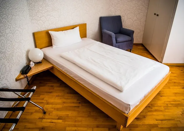 Hotel Art-hotel Robert Mayer 3*